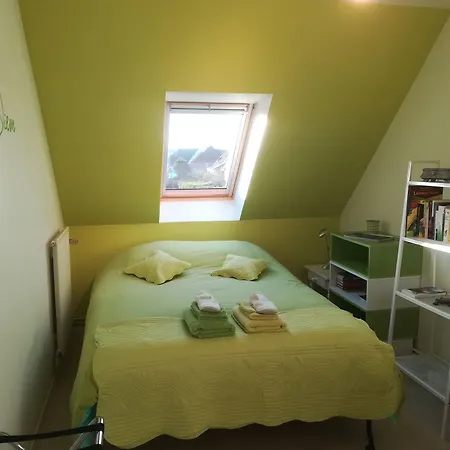 Mycolorhouse 2* Douai